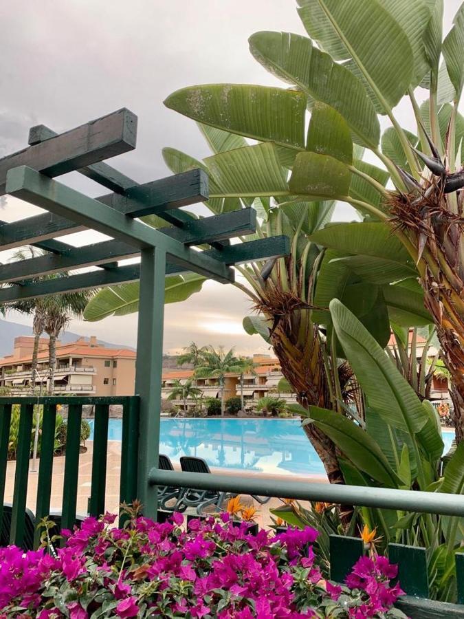 Appartamento Piso Jardines Del Teide En El Puerto De La Cruz Esterno foto